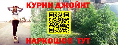 сатива Пенза